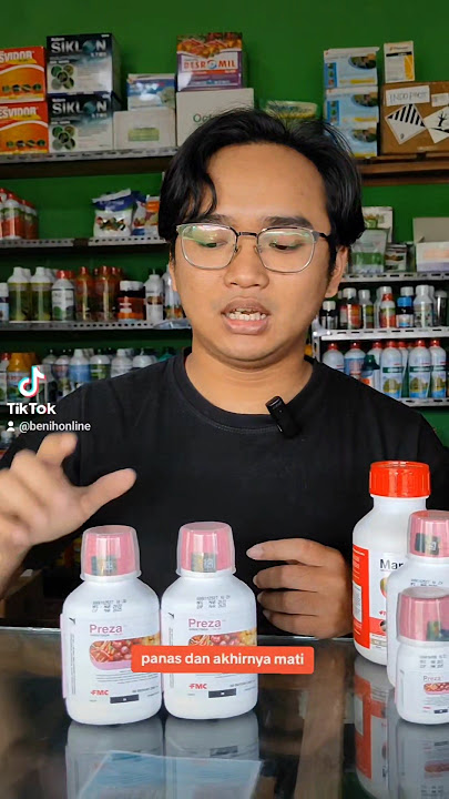 Eradicate Whiteflies and Thrips, the Pests That Cause Yellow Chili Leaves, with PREZA 100OD #beni...