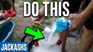 JACKASHS how I mixed borax and sugar for pest control