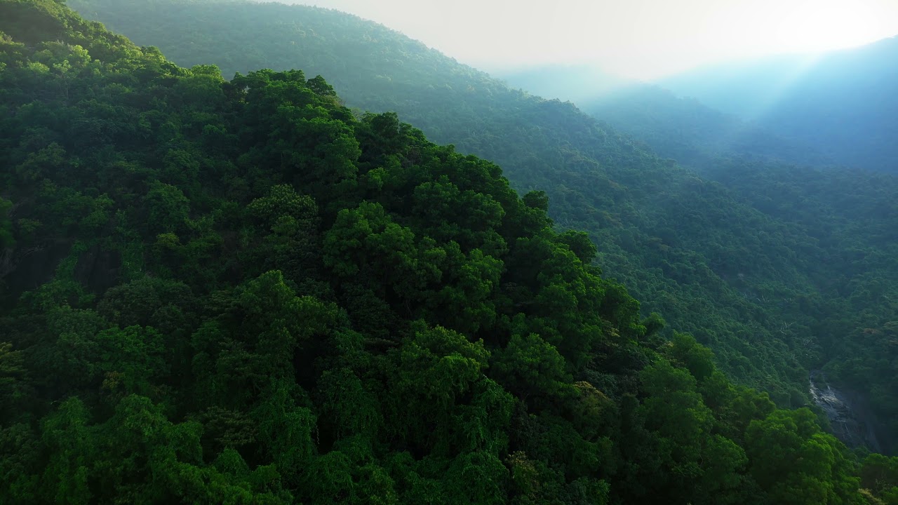 Beautiful forest from above. Footage for YouTube.
