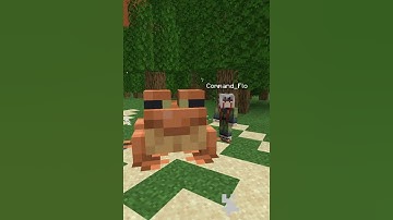 Minecraft Summoning Jutsu #minecraft #naruto #anime #narutoshippuden #gaming #commandstutorial