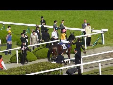 フェノーメノ初優勝 ゴールドシップは５着に沈む 13年天皇賞 春 Youtube