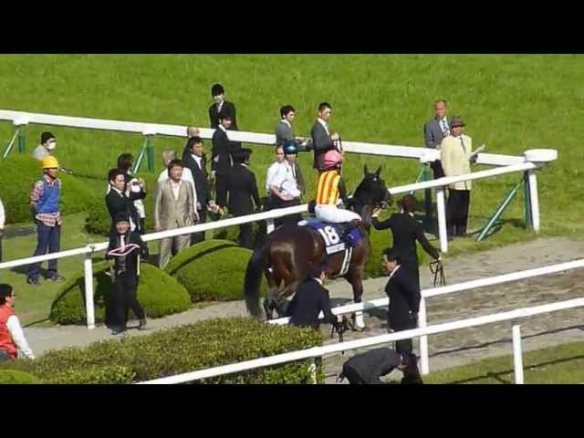 フェノーメノ初優勝 ゴールドシップは５着に沈む 13年天皇賞 春 Youtube