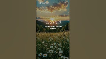تلاوة هادئة مريحة للقلب🍃❤ |  #اكسبلور #القرآن