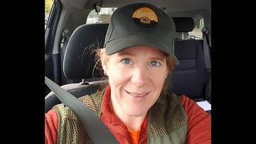 To Dig or Not to Dig- Grunts and Iron with the Simplex