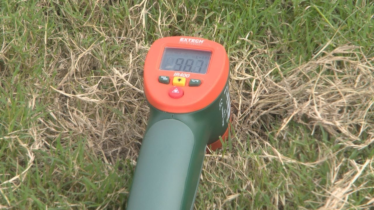 Hot temperatures heating up turf and payment