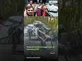 Family of six killed in tragic crash on Hyderabad ORR