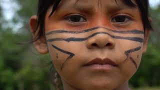 Unveiling the Amazon  10 Jaw Dropping Secrets