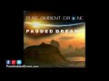 Padded dreams  relaxing ambient synth music