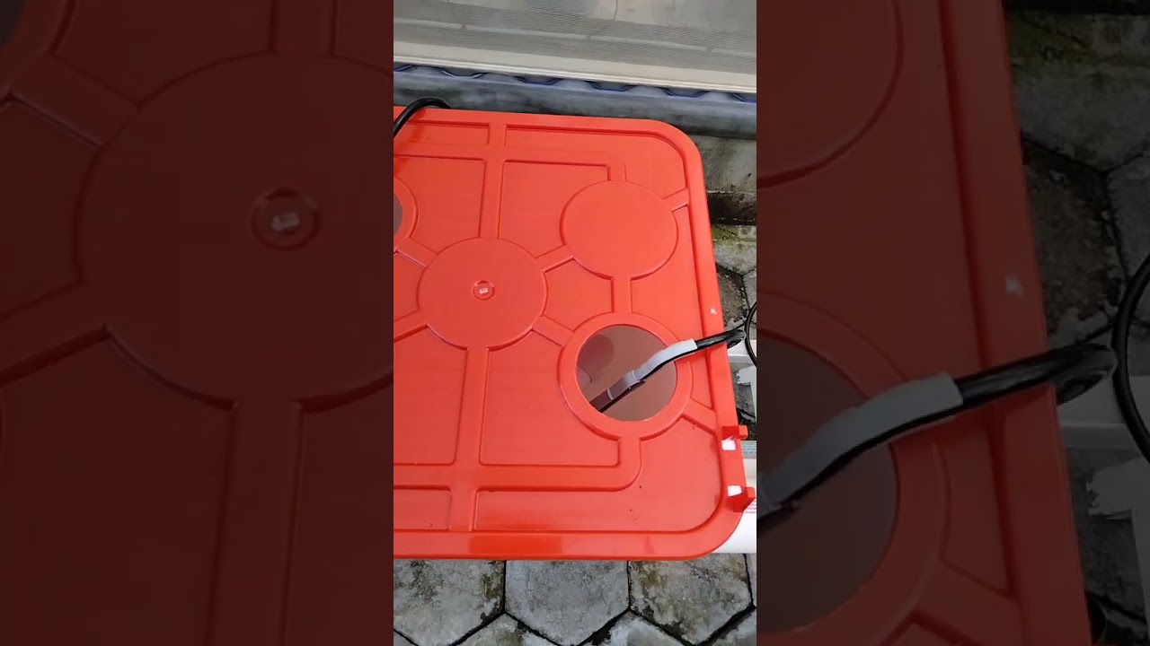 dutch bucket sederhana melon YouTube