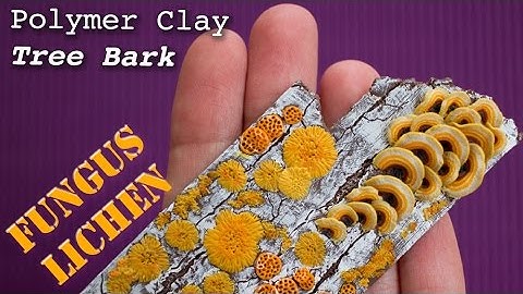 Polymer Clay Fungus, Mushrooms & Lichen on Old Tree Bark // Easy Fimo Tutorial