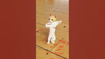 اسم احمد احمد احمد اغنية اسم احمد القطة احمد احمد احمد احمد احمد احمد احمد احمد احمد حمادة حماده 