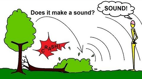 Physics 20  Sound and Sound Waves (2 of 49) If a Tree Falls in the Forest...?