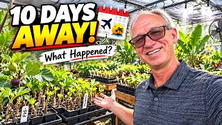 I Left My Greenhouse for 10 Days… Here’s What Happened