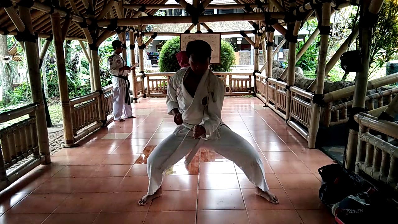 PUKULAN DAN TANGKISAN