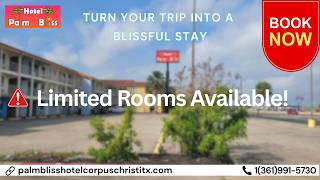 Palm Bliss Hotel Corpus Christi TX | Best Hotels in Corpus Christi Tx | Book Your Stay Today!