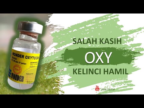 Video: Oksitosin - Petunjuk Penggunaan, Indikasi, Dosis, Analog