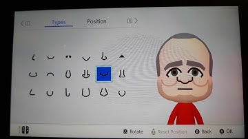 How to make Hoffman (My custom CPU Mii)