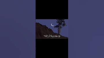 #ياسر_الدوسري #تلاوة_خاشعة #قرآن #explore #quran #islam