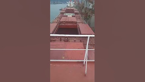 Vessel attended by WILLIAMS loading 65.150 MT of Brazilian SOYBEAN in Bulk at TES Terminal in SANTOS