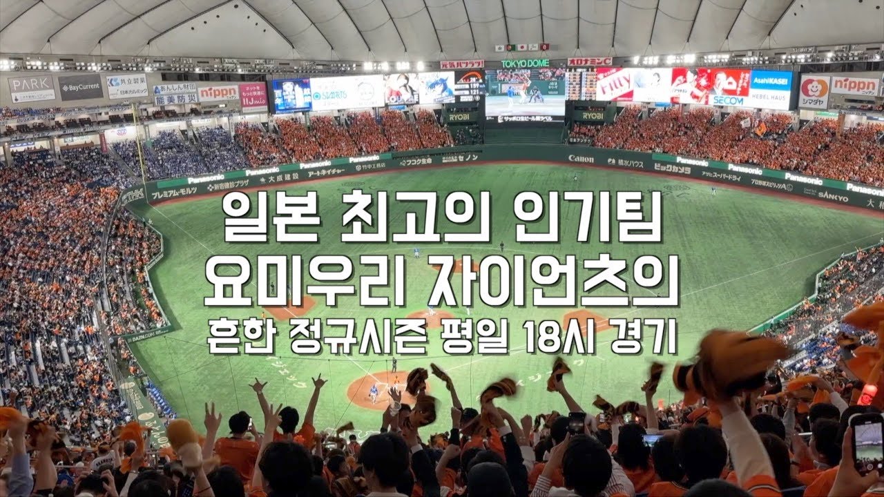 평일에도 만원 관중 | 일본의 야구 성지 도쿄돔 | 요미우리 자이언츠 vs 요코하마 베이스타즈