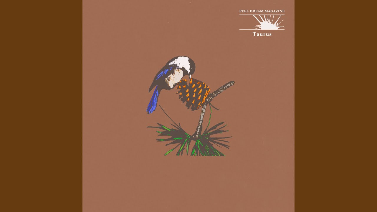 Watch Down From The Trees on YouTube Watch Down From The Trees on YouTube