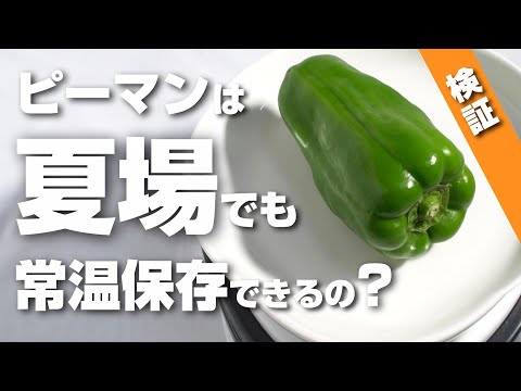 ピーマンは夏場に常温保存できるの？検証してみたら驚きの結果に！