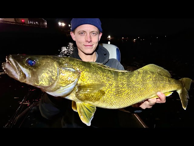 You NEED to Fish Late Fall! New Species + J's PB Walleye!! 