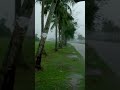 Whose heart desires to make this village their home? #rainwalk #villagerainwalk #studysounds #asmr