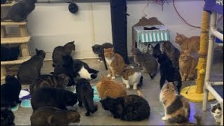 Treats galore