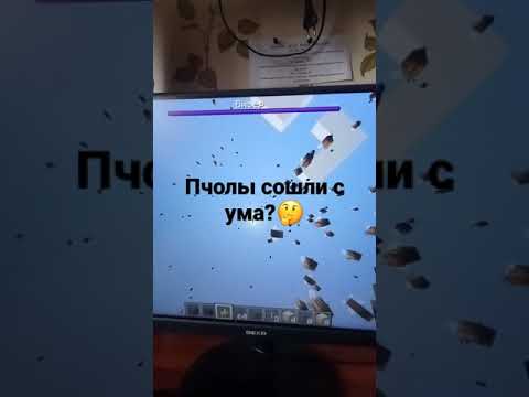 полы сходят с ума?!