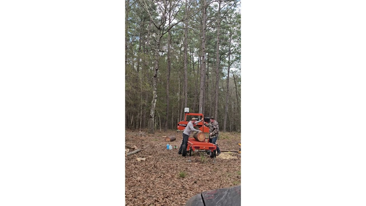 From Log to Legend: Epic Wood-Mizer Sawmill Journeys!