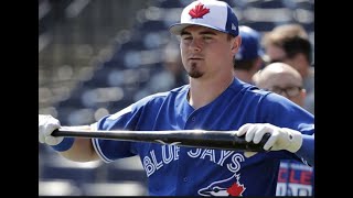 Celebrity Blue Jays catcher Reese McGuire arrested in Florida for indecent exposure Profile