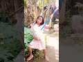 pak Ateng terbaru #pengamenviral #pengamenjalanan #shortsvideo #musikhiburan #automobile