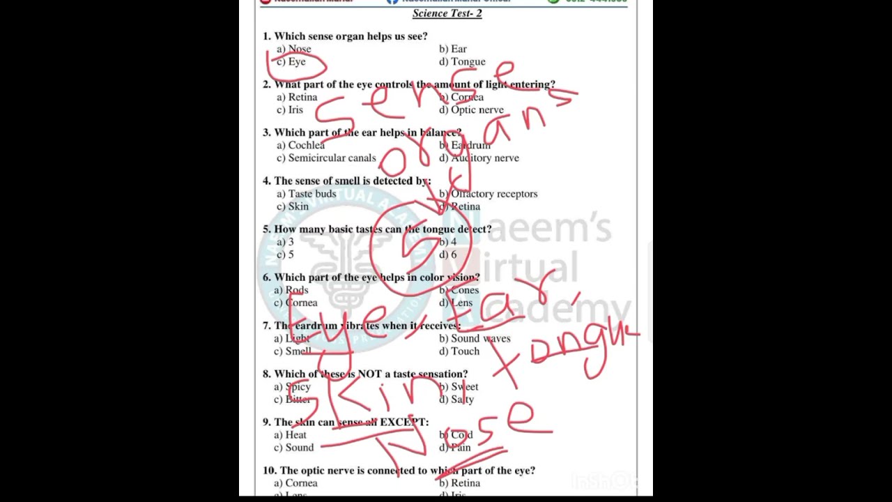Science test 2| JST| Intermediate category BPS 5 to 15 jobs 