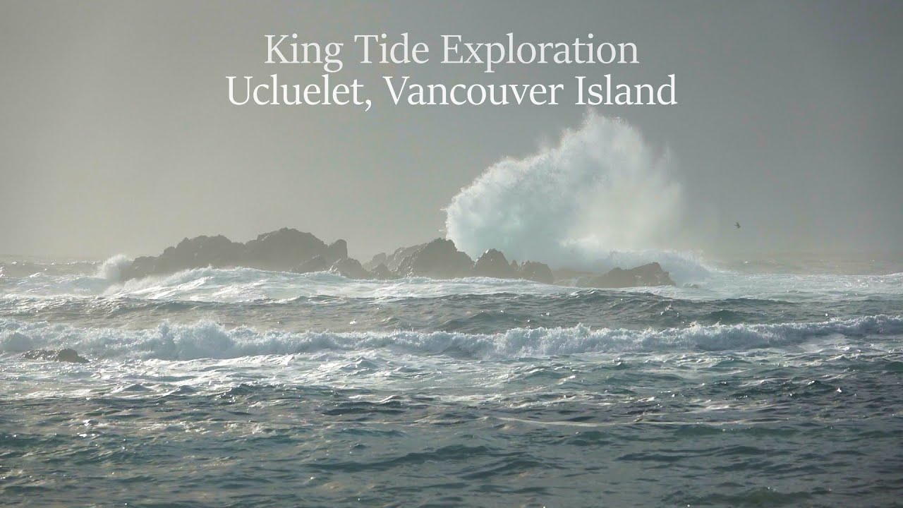 Уклулет, остров Ванкувер, во время прилива — видеоблог и видео с волнами — UkeeTube