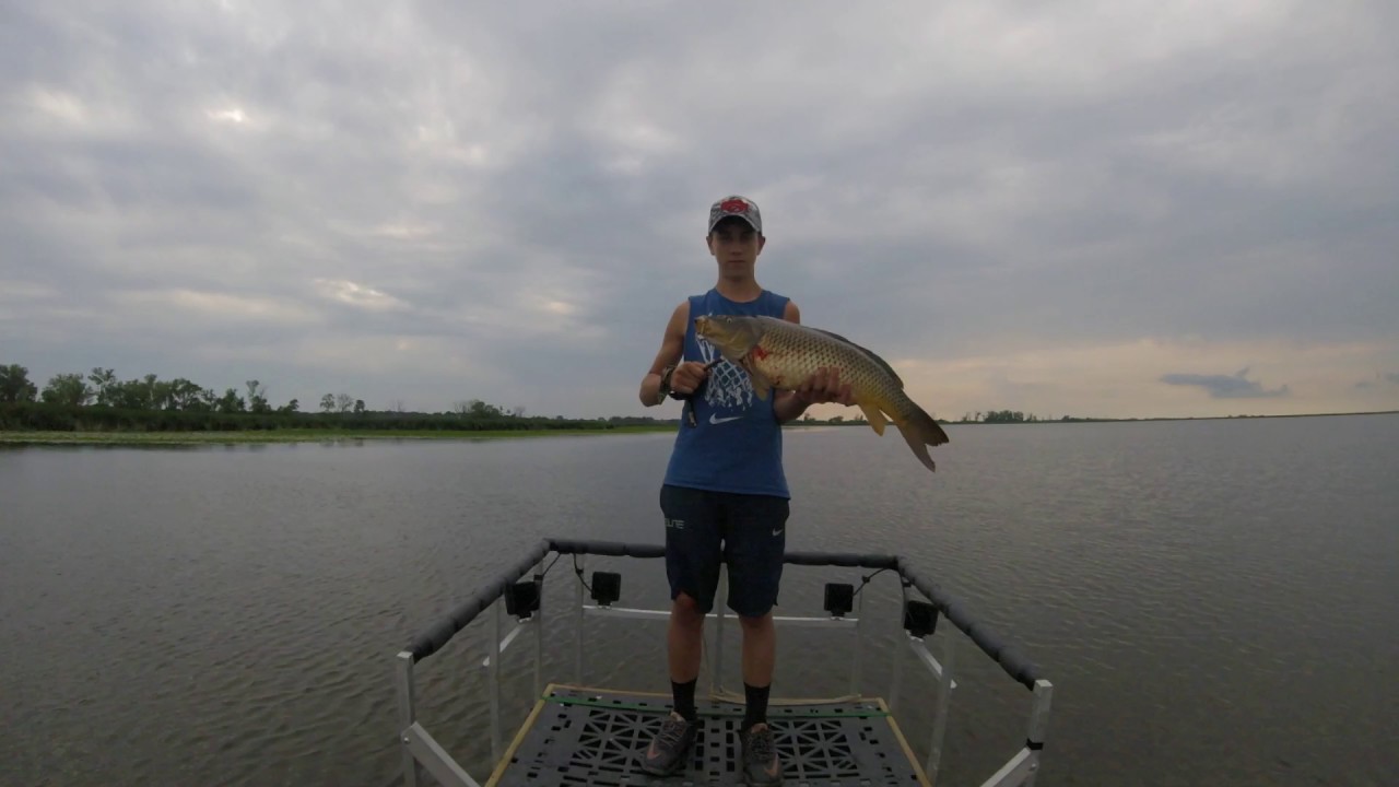 bow fishing the Horicon marsh pt2 YouTube