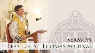 Sermon - Salt of the Earth, Light of the World - Feast of St. Thomas Aquinas - Fr. Brooks - 3/7/24