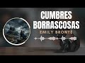 CUMBRES BORRASCOSAS | CAPITULO 28 | EMILY BRONTË | #AUDIOLIBRO 