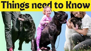 Top 10 health Tips Every Dog Owners Should Know