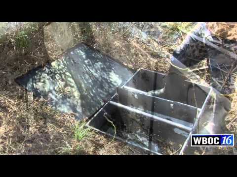 Delaware Wild Lands Inc. Work Toward Wetlands Restoration