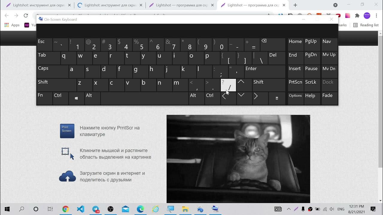 Akinkz https a9fm github io lightshot. Lightshot видео экрана. Html dasturlash. AUTOCAD dasturini yuklab olish. Scratch dasturini yuklab olish.
