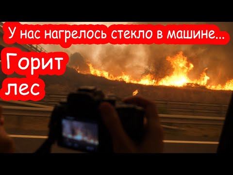 VLOG Мы ужасно испугались. Горит лес, а мы едем мимо