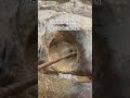 Funny kung fu moves for hunting gold #gold #treasure #viral #quartz #satisfying #goldrus