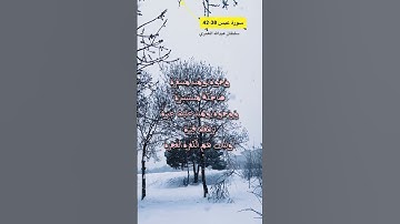 اخر سورة عبس الاية 38-42