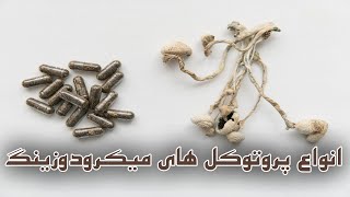 میکرودوزینگ مجیک ماشروم | بررسی روش های میکرودوز قارچ جادویی