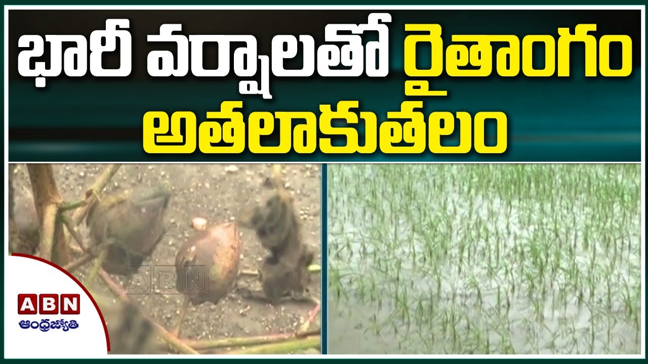 Heavy Rain Damages Crops in Warangal District | ABN Telugu - YouTube