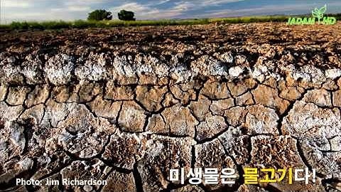 6. 감자로 하는 초간편 미생물 배양법  (초 다수확 핵심기술을 담은 최신 강좌가 대전 에서 진행)-JADAM Organic Farming