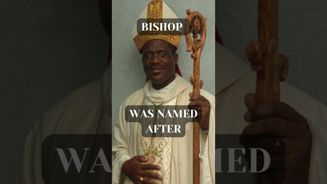 Bishop and the Bite-Sheepshead fish | Archosargus probatocephalus 