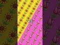 sunflower 🌻 and pink rose