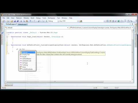 ASP.NET Grid -